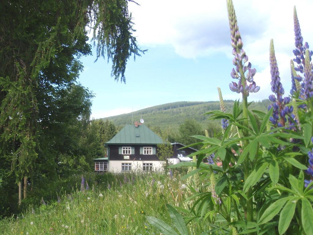 Vila Martin Harrachov Extérieur photo